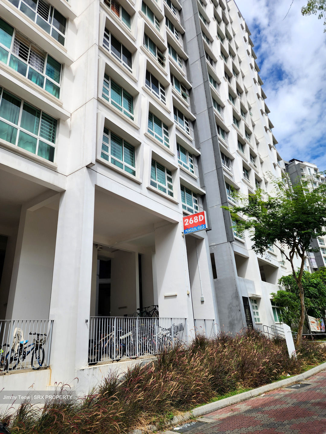 Blk 268D Punggol Sapphire (Punggol), HDB 4 Rooms #495168331